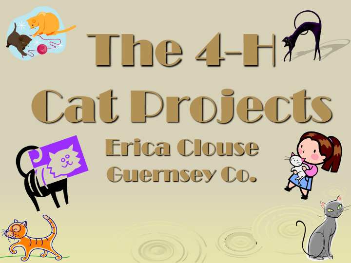 the 4 h cat projects
