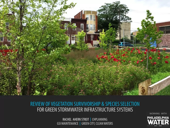 review of vegetation survivorship amp species selection