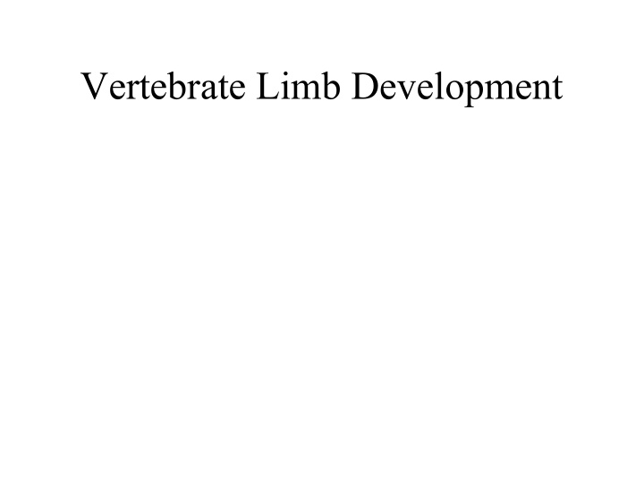 vertebrate limb development