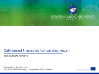 cell based therapies for cardiac repair