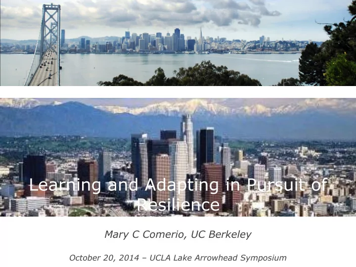 learning and adapting in pursuit of resilience
