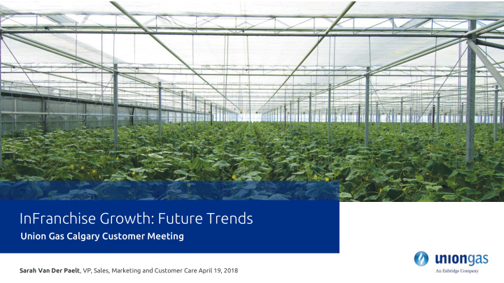 infranchise growth future trends