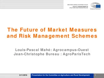 The Future of Market Measures  and Risk Management Schemes  Louis-Pascal Mah: Agrocampus-Ouest