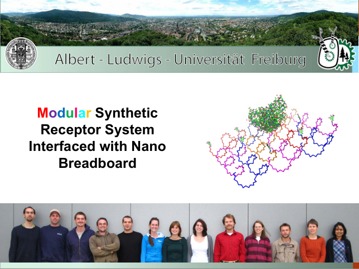 modular synthetic receptor system interfaced with nano