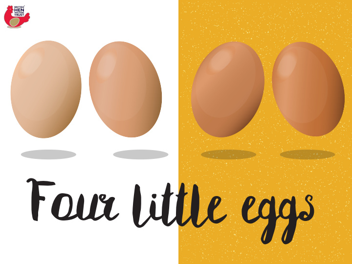 four little eggs these four eggs have plenty in common