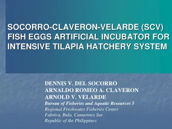 SOCORRO-  -CLAVERON  CLAVERON-  -VELARDE (SCV)  VELARDE (SCV)  SOCORRO  FISH EGGS ARTIFICIAL