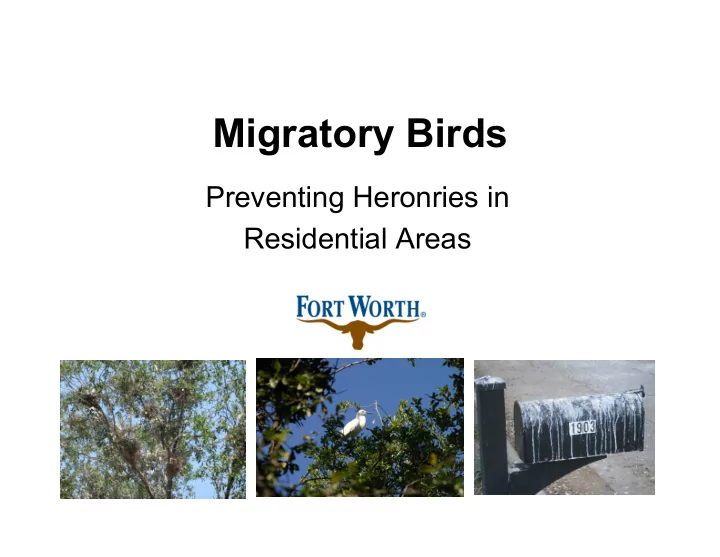 migratory birds