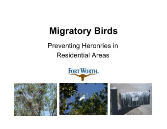 Migratory Birds  Preventing Heronries in  Residential Areas  Fort Worth 2012  Birds arrived in