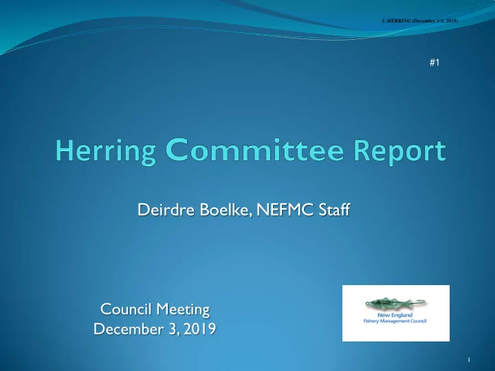 deirdre boelke nefmc staff
