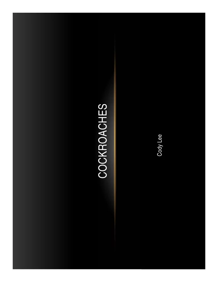cockroaches