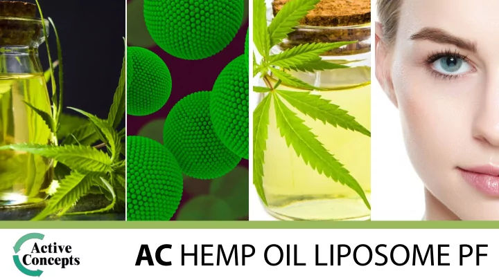 ac hemp oil liposome pf 61005pf ac hemp oil liposome pf