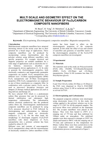 MULTI SCALE AND GEOMETRY EFFECT ON THE ELECTROMAGNETIC BEHAVIOUR OF Fe 3 O 4 /CARBON  COMPOSITE