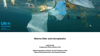 Marine litter and microplastics  Heidi Savelli  Programme Officer, Marine Litter  Global Programme