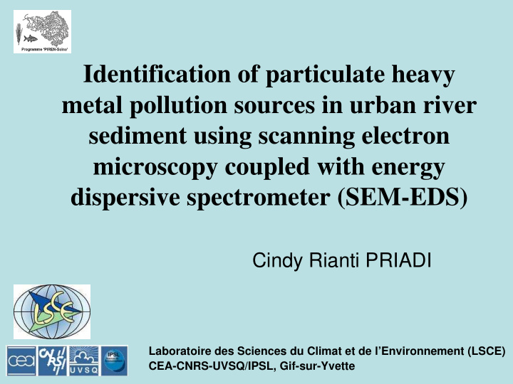 identification of particulate heavy metal pollution