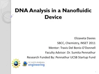 DNA Analysis in a Nanofluidic  Device  Elizaveta Davies  SBCC, Chemistry, INSET 2011  Mentor: