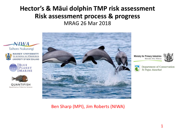 hector s amp m ui dolphin tmp risk assessment