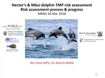 Hectors &amp; Mui dolphin TMP risk assessment  Risk assessment process &amp; progress  MRAG 26