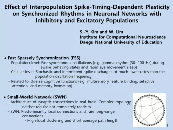 on Synchronized Rhythms in Neuronal Networks with  Inhibitory and Excitatory Populations  S.-Y. Kim