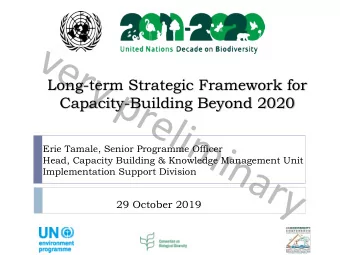 very preliminary  Long-term Strategic Framework for  Capacity-Building Beyond 2020  Erie Tamale,