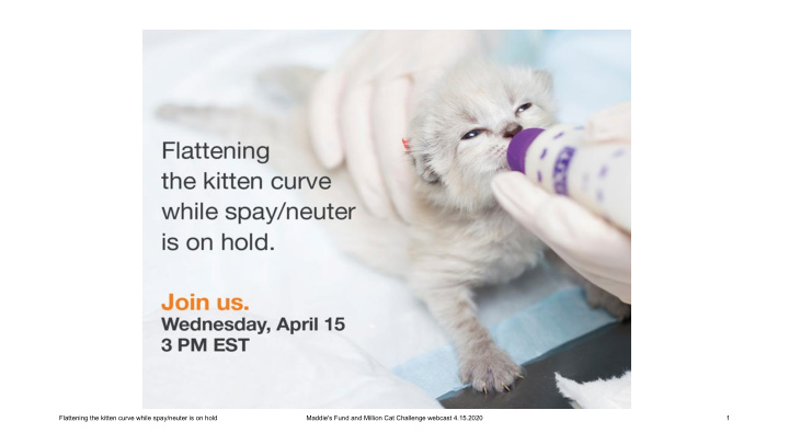 flattening the kitten curve while spay neuter is on hold