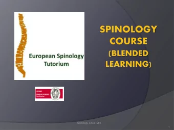 Spinology, since 1980  1  Terminology - TER  Content  Semantics  Non Spinology terms