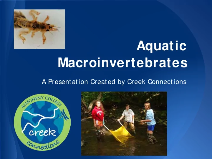 aquatic macroinvertebrates