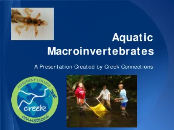 Aquatic  Macroinvertebrates  A Presentation Created by Creek Connections  Aquatic