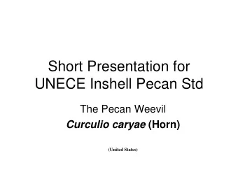 Short Presentation for  UNECE Inshell Pecan Std  The Pecan Weevil Curculio caryae (Horn)  (United