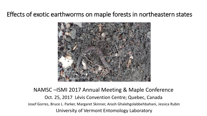 effects of exotic earthworms on maple le forests in in