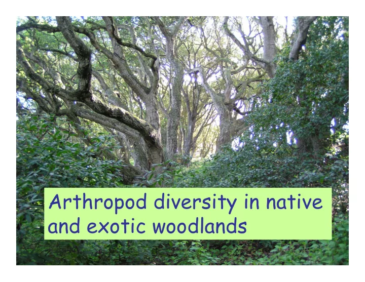 arthropod diversity in native and exotic woodlands what