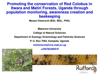 Promoting the conservation of Red Colobus in Itwara and Matiri Forests, Uganda through  population