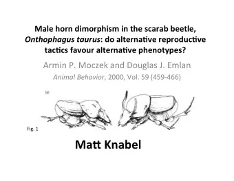 Ma:  Knabel    Secondary  sexual  traits  are  seen  in  some