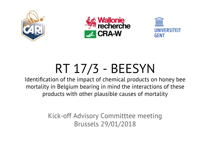 rt 17 3 beesyn