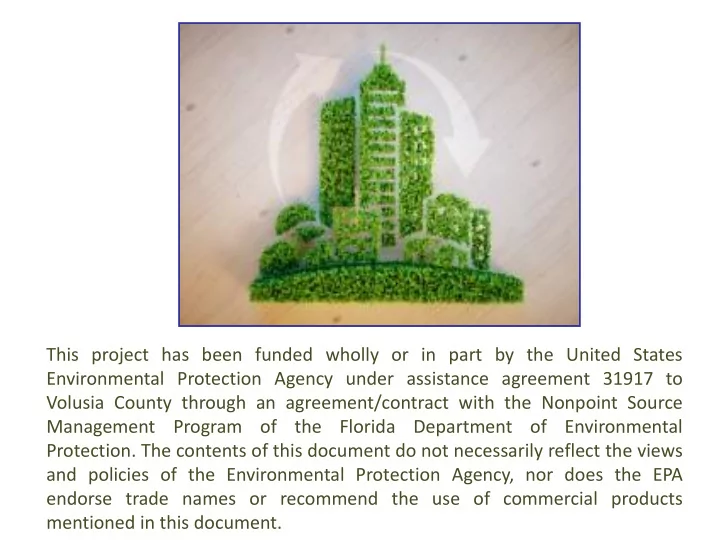 management program of the florida department of