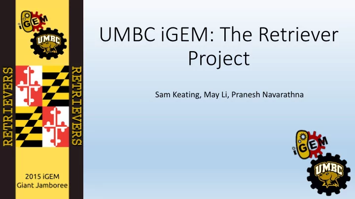 project