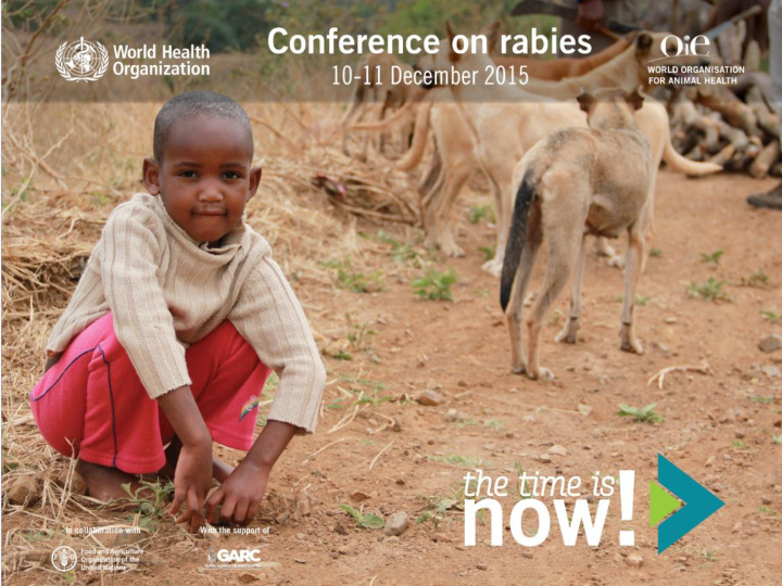 rabies in africa and the middle east mena region is at