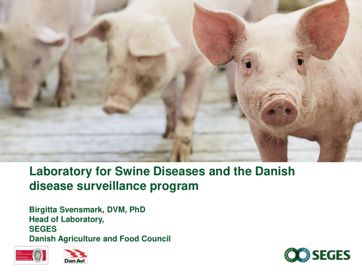 laboratory for swine diseases and the danish disease