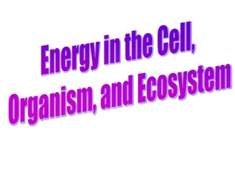 Energy in the Cell  In the cell, different structures and processes exist for the  Production of