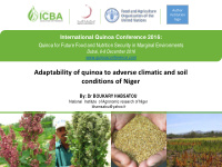 adaptability of quinoa to adverse climatic and soil