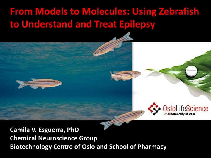 to understand and treat epilepsy