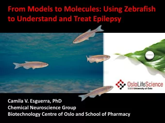 to Understand and Treat Epilepsy  Camila V. Esguerra, PhD  Chemical Neuroscience Group