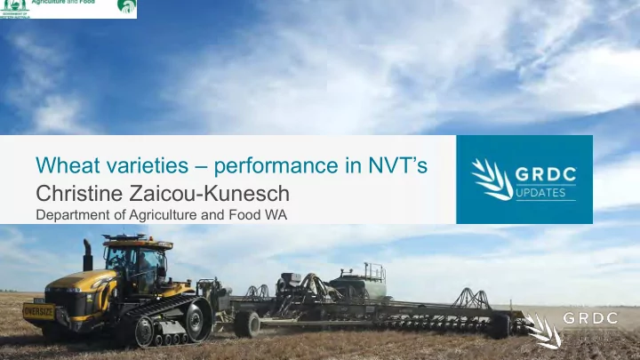 wheat varieties performance in nvt s christine zaicou