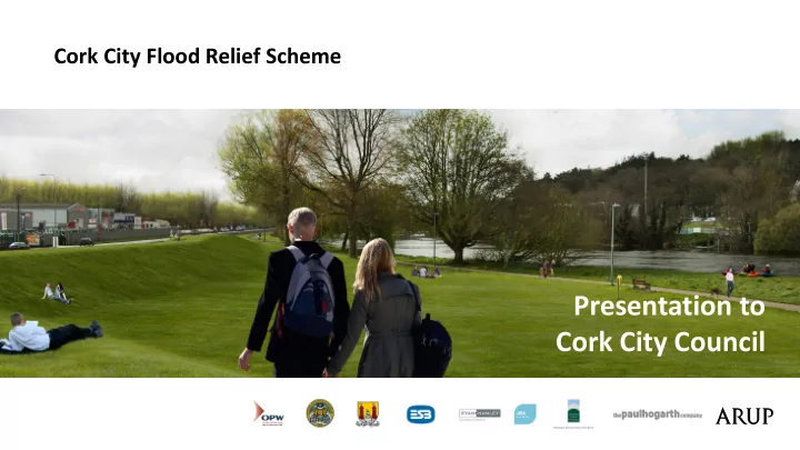presentation to cork city council process and timeline