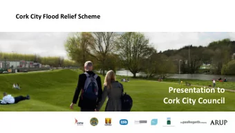 Presentation to  Cork City Council  Process and Timeline  2006  2007  2008  2009  2010  2011  2012