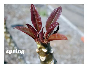 spr  spring  ing The main issue I want to focus on is sunburn. Our plants are most susceptible to