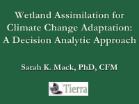 wetland assimilation for climate change adaptation a