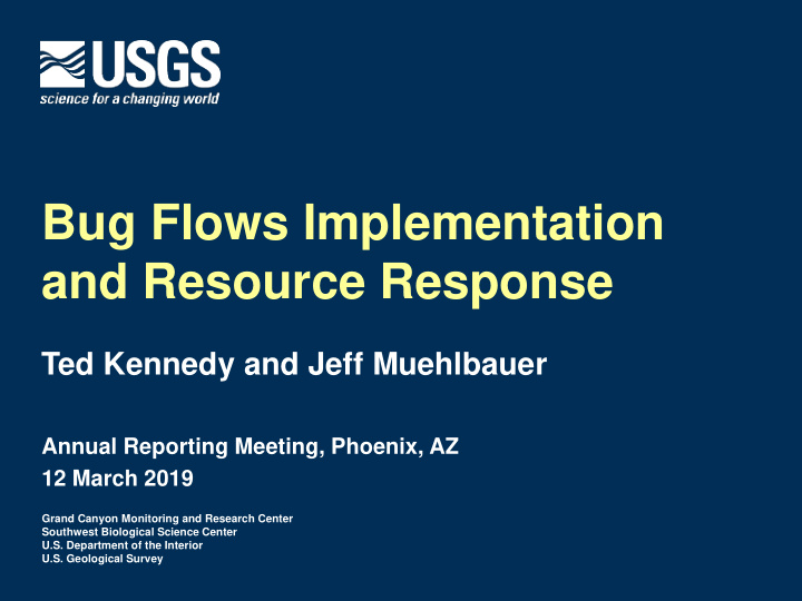 bug flows implementation and resource response