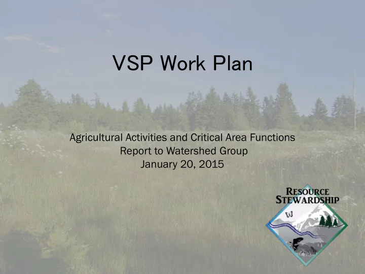vsp work plan