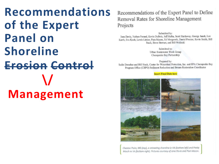 recommendations of the expert panel on shoreline erosion