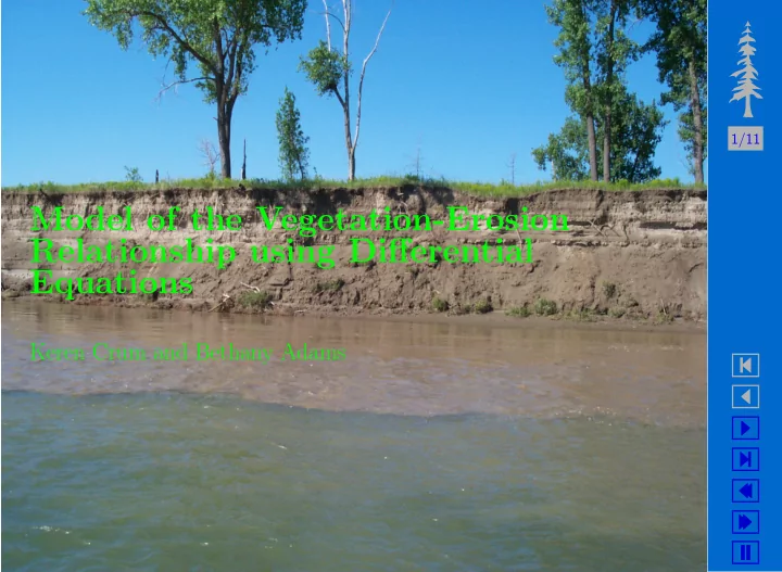 model of the vegetation erosion relationship using